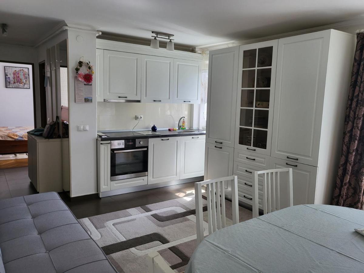 Apartament Florilor Baia Mare Eksteriør billede