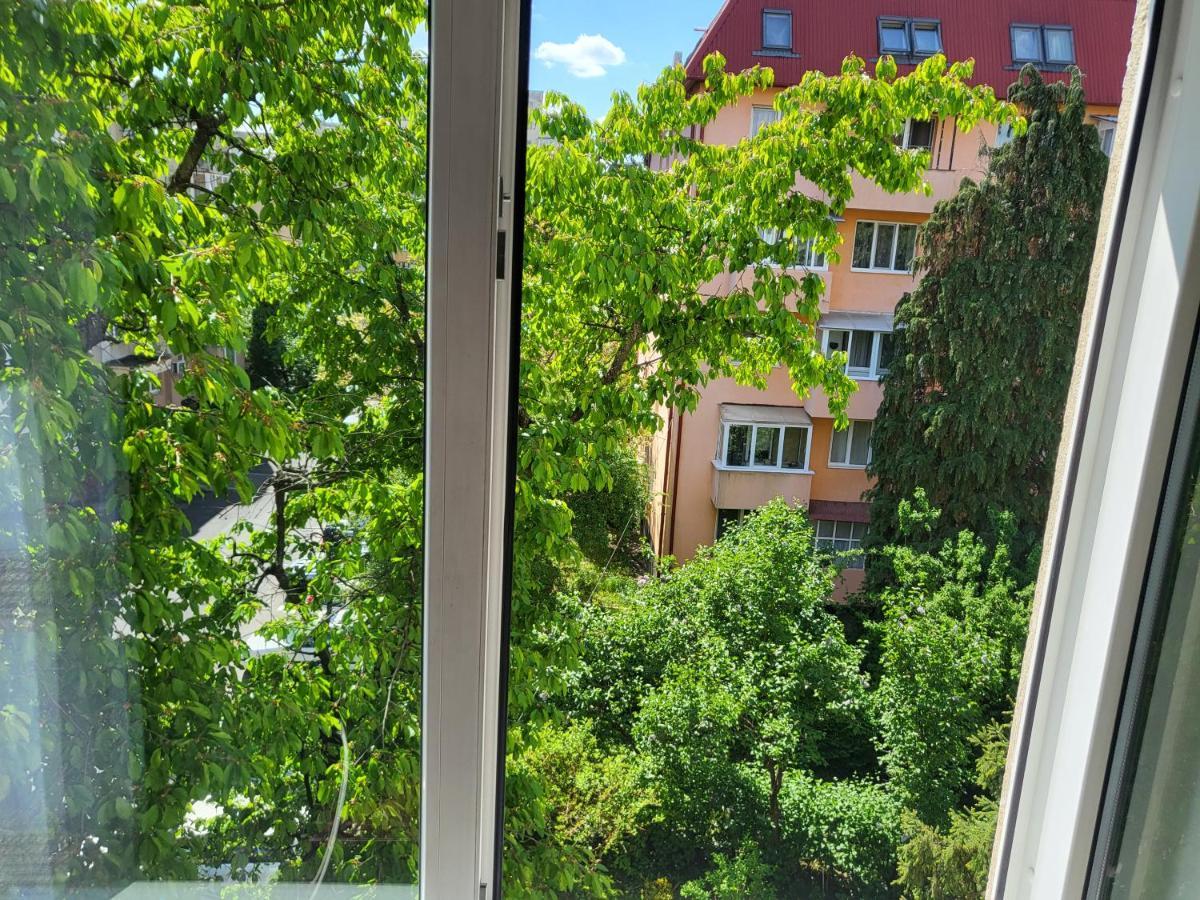 Apartament Florilor Baia Mare Eksteriør billede