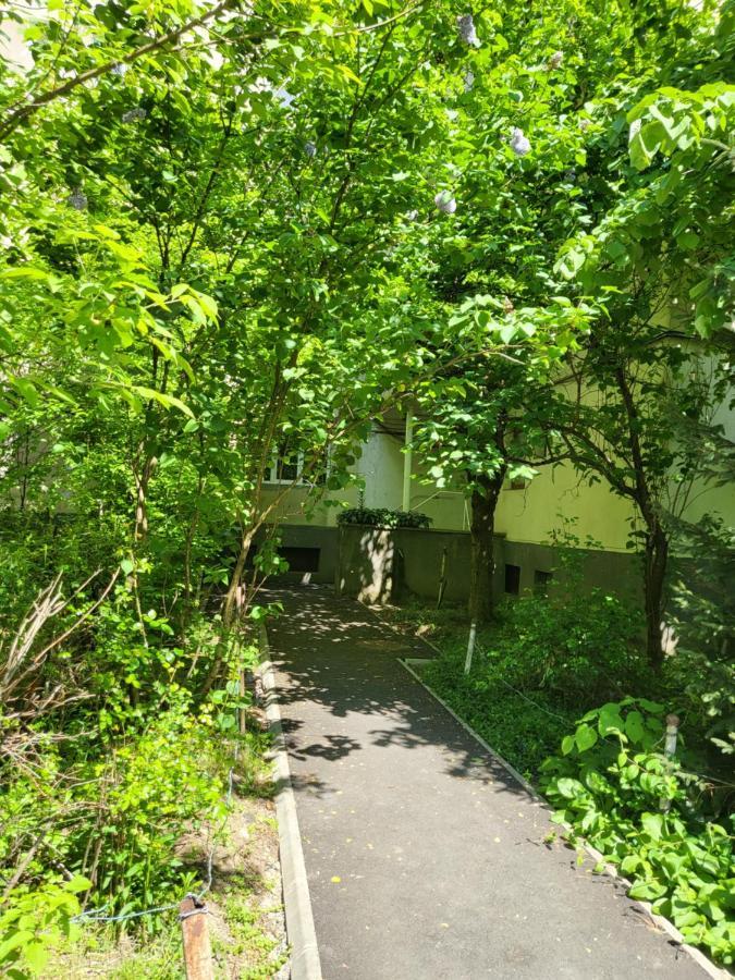Apartament Florilor Baia Mare Eksteriør billede